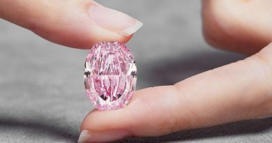 Viên kim cương hồng tím hơn 26 triệu USD