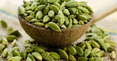 Việt Nam trồng được loại gia vị đắt thứ 3 thế giới, xuất khẩu tiếp tục tăng
